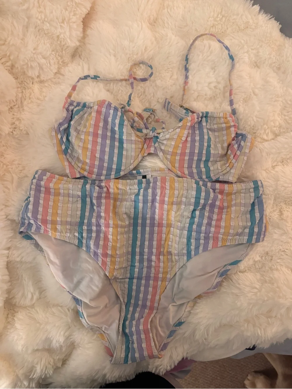J. Crew Pastel Rainbow Striped Bikini Set